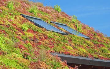 Deal living roof systems